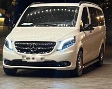 Mercedes Viano