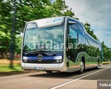 Hər saya uyğun avtobusların sifarişi