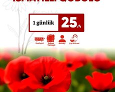 İsmayıllı Qəbələ turu
