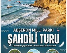 Şahdili burnu turu