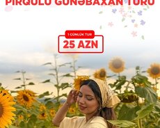 Şamaxı İsmayıllı Pirqulu Günəbaxan Turu