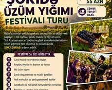 Şəki Üzüm Yığma Festivalı Turu