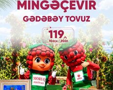 Mingəçevir Gədəbəy Tovuz Turu