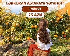Lənkəran sitrus turu