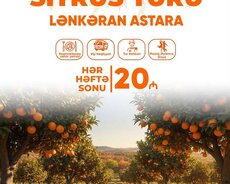 Lənkəran Astara Sitrus Turu