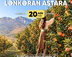 Lənkəran Astara Sitrus Turu