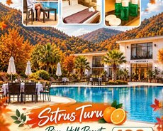 Lənkəran Lerik Astara Sitrus Turu