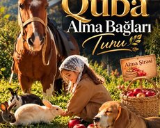 Quba Alma bağları turu