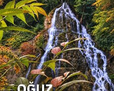 Payız Qoxulu Qəbələ Oğuz Turu