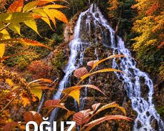 Payız Qoxulu Qəbələ Oğuz Turu