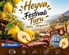 Heyva turu