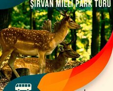 Şirvan Milli Parkına səyahət turu
