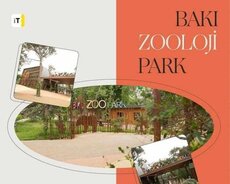 Məktəblilər Üçün Zoopark turu