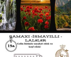 İsmayıllı Şamaxı Lalələr Turu