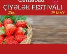 Çiyələlək festivalı Masallı Cəlilabad turu