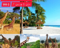 Zanzibar Afrika səyahət turu
