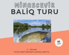 Mingəçevir Balıq turu