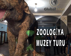 Zoologiya Muzey turu