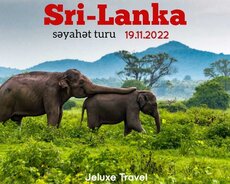 Sri Lanka turu Bal ayina endirimlə