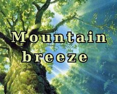 Quba Mountain Breeze , Məstdərgah turu