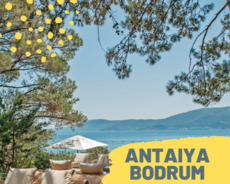 Antalya Bodrum 40% Endirim