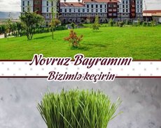 Basqal Resorta Novruz Bayrami