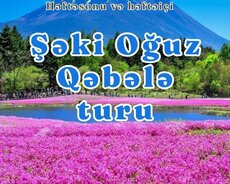 Şəki Oğuz Qəbələ