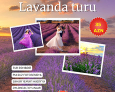 Lavanda turu