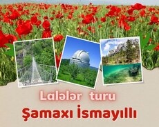 Fərqlı Şamaxı-Lalələr İsmayıllı aəyahət turu