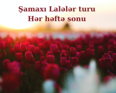 Əsrarəngiz Laləli Şamaxı Turu