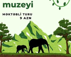 Zoologiya Muzey Turu