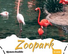Zoopark Məktəbli Turu