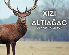 Möhtəşəm Xızı Altıağac Cənnətbağı turu