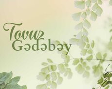 2 Günlük Tovuz və Gədəbəyə Səyahət