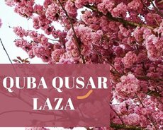 Ən Gözəl Quba Qusar Laza Turu