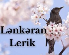 1 Günlük Lənkəran Lerik Cənub Səyahəti