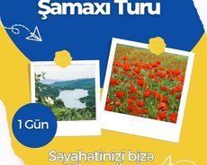 Əsrarəngiz Şamaxı Lalələr turu