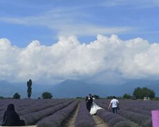 Qax Zaqatala Balakən turu