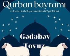 Qurban bayramına özəl Gədəbəy Tovuz turu