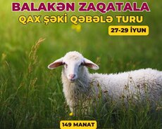 Zaqatala Balakən Qəbələ Turu