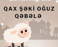 Bayram Turu Qax /şəki/ Oğuz/ Qəbələ