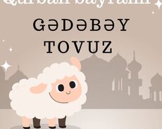 Qurban Bayramina Özəl Tovuz Gədəbəy Turu