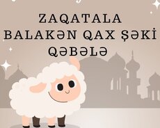Qurban bayramına özəl Zaqatala Qax şəki turu