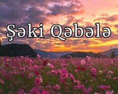 Xan Sarayi Şəki Qəbələ Turu