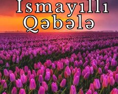 İsmayilli Meşəsi İsmayilli Qəbələ Turu