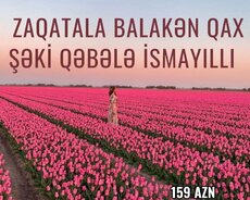 Mamirli Şəlaləsi Balakən Zaqatala Qax Şəki Turu