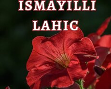 Çox sevilən. İsmayıllı Lahıc turu
