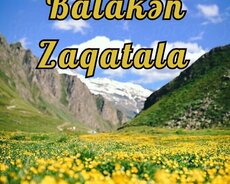Möhtəşəm üçlük Zaqatala Balakən Qəbələ turu