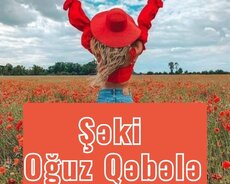 Bayrama özəl. Şəki Oğuz Qəbələ turu