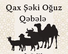 Bayrama özəl Qax Şəki Oğuz Qəbələ Turu